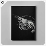 Vintage prawn marine life illustration - エルンスト ヘッケル Canvas.