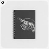 2-44_Ernst-Haeckel_memo