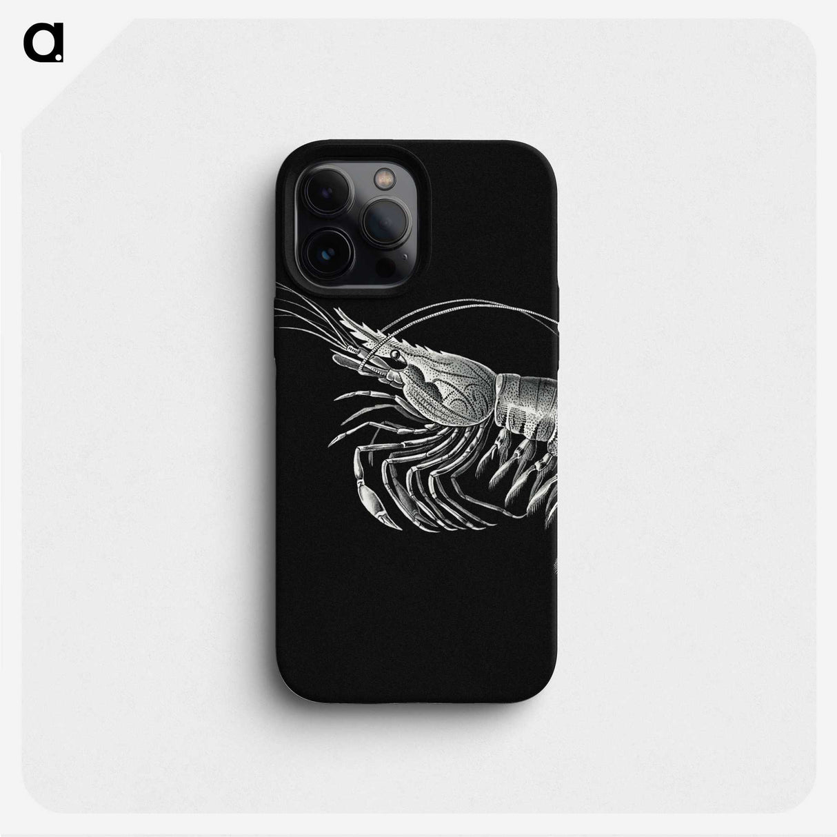 2-44_Ernst-Haeckel_phone