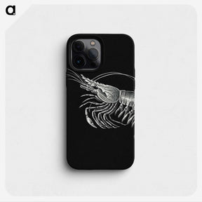 2-44_Ernst-Haeckel_phone