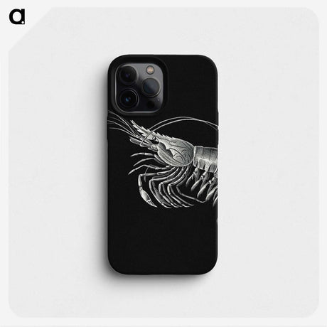 2-44_Ernst-Haeckel_phone