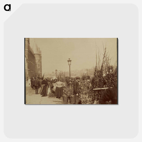 アートポストカード-Le Marché aux Fleurs
 - ウジェーヌ アジェ Postcard.