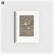 2-44_Francisco-de-Goya_memo