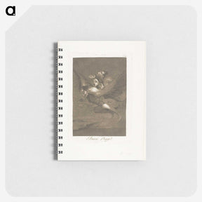 2-44_Francisco-de-Goya_memo