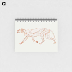 アートメモ帳-Leopard Body, Lateral View
 - ジョージ スタッブス Memo.