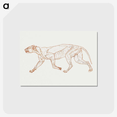 2-44_George-Stubbs_postcard