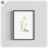 2-44_Histoire-des-Plantes-Grasses_blk