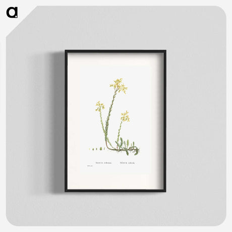 2-44_Histoire-des-Plantes-Grasses_blk