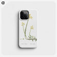 2-44_Histoire-des-Plantes-Grasses_phone