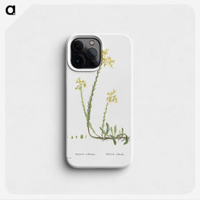 2-44_Histoire-des-Plantes-Grasses_phone