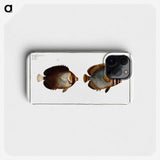 2-44_Ichtyologie-ou-Histoire-naturelle_phone