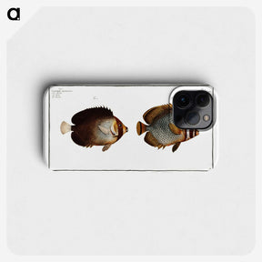 2-44_Ichtyologie-ou-Histoire-naturelle_phone