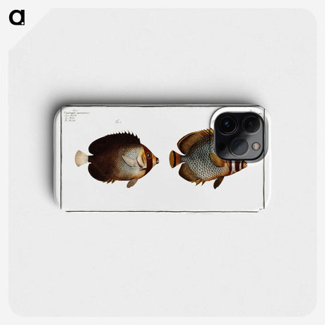 2-44_Ichtyologie-ou-Histoire-naturelle_phone