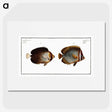 2-44_Ichtyologie-ou-Histoire-naturelle_picture
