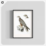 2-44_Indian-Zoology_blk
