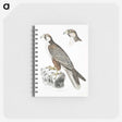 2-44_Indian-Zoology_memo