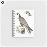 2-44_Indian-Zoology_memo
