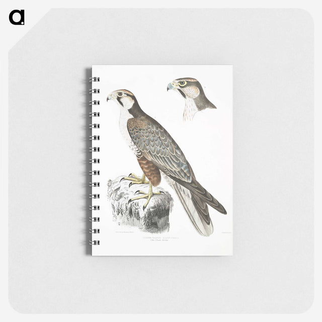 2-44_Indian-Zoology_memo