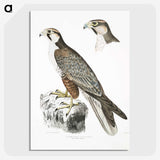 2-44_Indian-Zoology_picture-crop