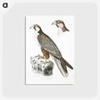 2-44_Indian-Zoology_postcard