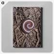 2-44_Insects-Unlocked-Project_canvas