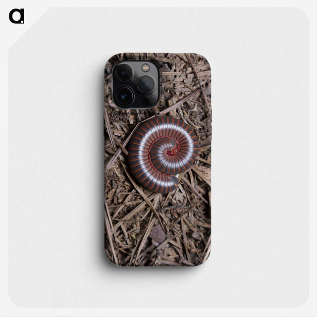 2-44_Insects-Unlocked-Project_phone