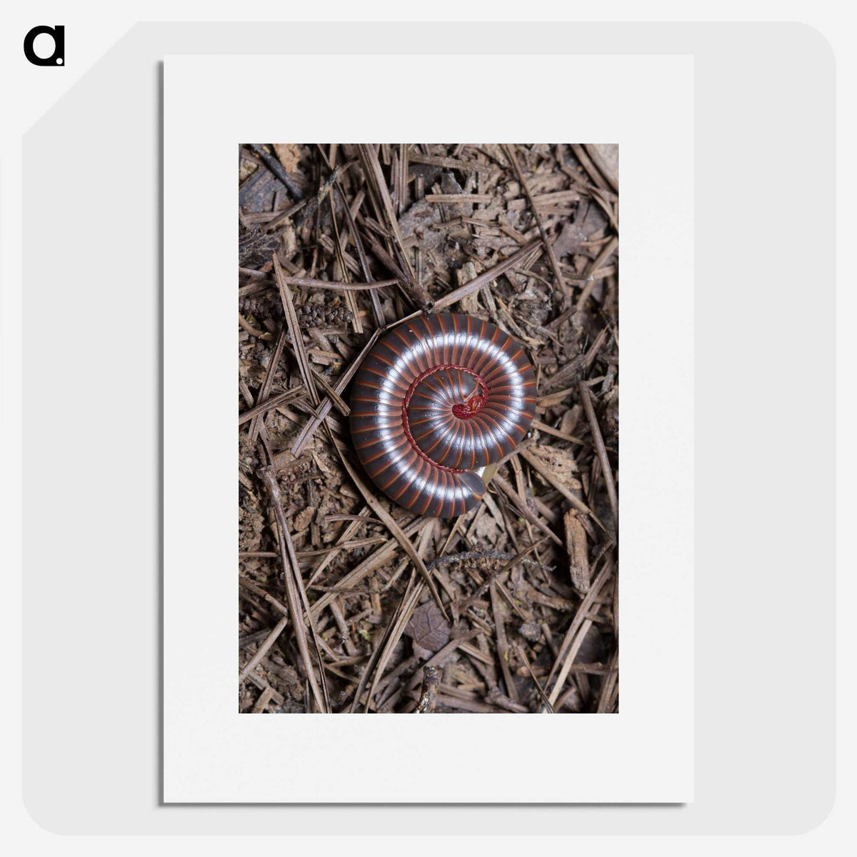 2-44_Insects-Unlocked-Project_picture