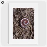 2-44_Insects-Unlocked-Project_picture