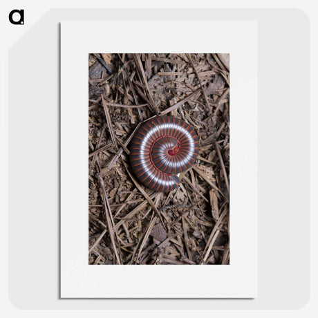 2-44_Insects-Unlocked-Project_picture