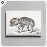 アートパネル-Young bear - ジャン ベルナール Canvas.