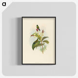 2-44_John-Gould_blk-crop