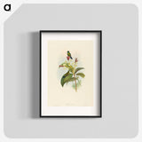 2-44_John-Gould_blk