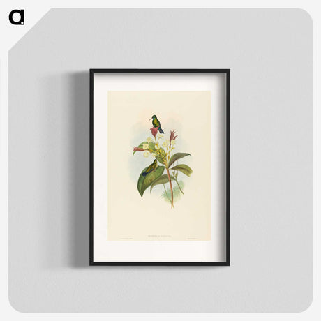2-44_John-Gould_blk