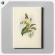 2-44_John-Gould_canvas