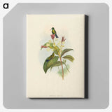 2-44_John-Gould_canvas