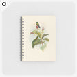 2-44_John-Gould_memo