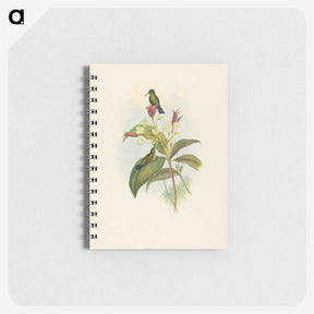 2-44_John-Gould_memo