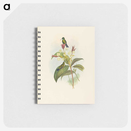 2-44_John-Gould_memo