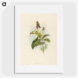 2-44_John-Gould_picture