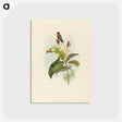 2-44_John-Gould_postcard
