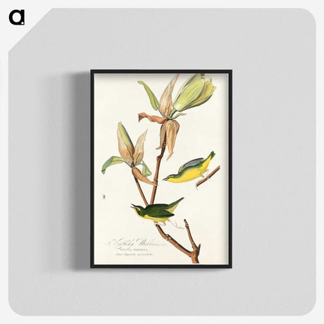 2-44_John-James-Audubon_blk-crop