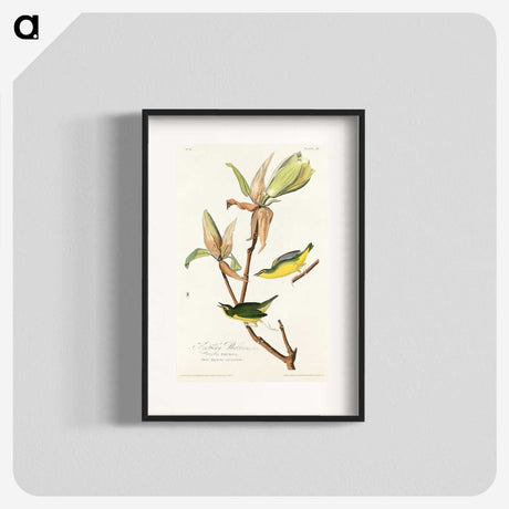 2-44_John-James-Audubon_blk