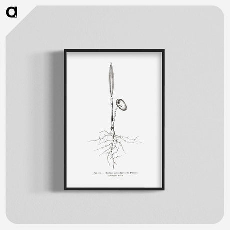 2-44_Les-Palmiers-Histoire-Iconographique_blk-crop
