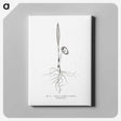 2-44_Les-Palmiers-Histoire-Iconographique_canvas