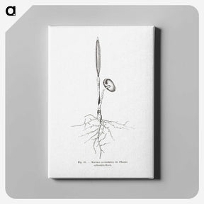 2-44_Les-Palmiers-Histoire-Iconographique_canvas