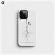 2-44_Les-Palmiers-Histoire-Iconographique_phone