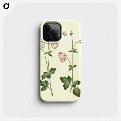 2-44_Maria-Sibylla-Merian_phone