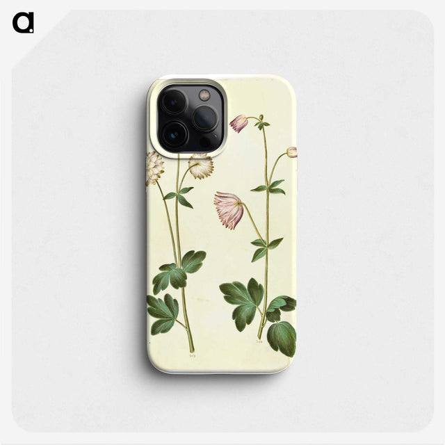 2-44_Maria-Sibylla-Merian_phone