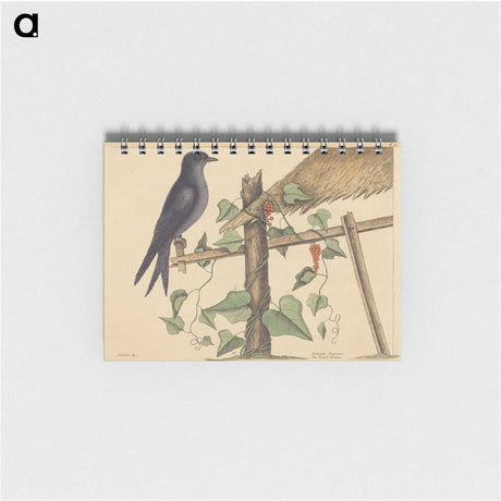 2-44_Mark-Catesby_memo