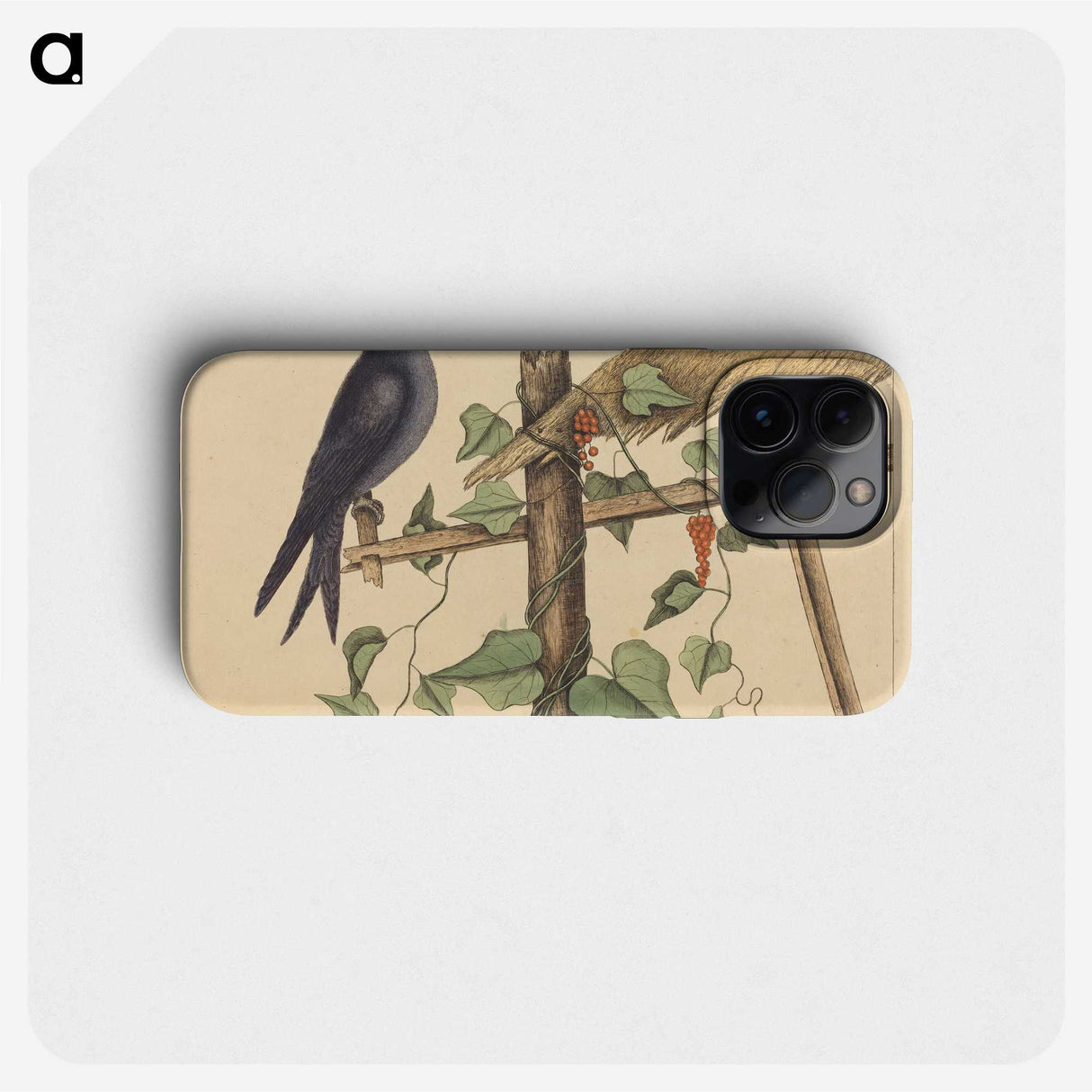 2-44_Mark-Catesby_phone